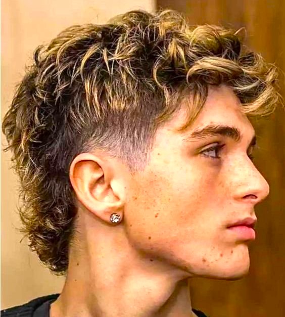 Mullet Hairstyle